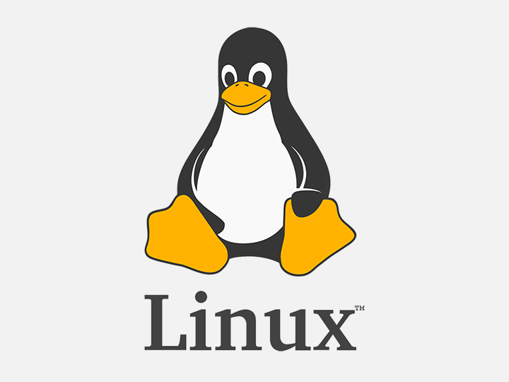 Linux 文件系统管理教程 传输文件 符号链接 复制移动删除文件 Bandwagonhost中文网 Bandwagonhost中文网